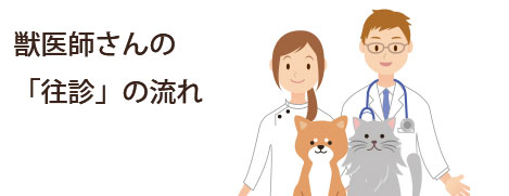 獣医師さんの「往診」の流れ